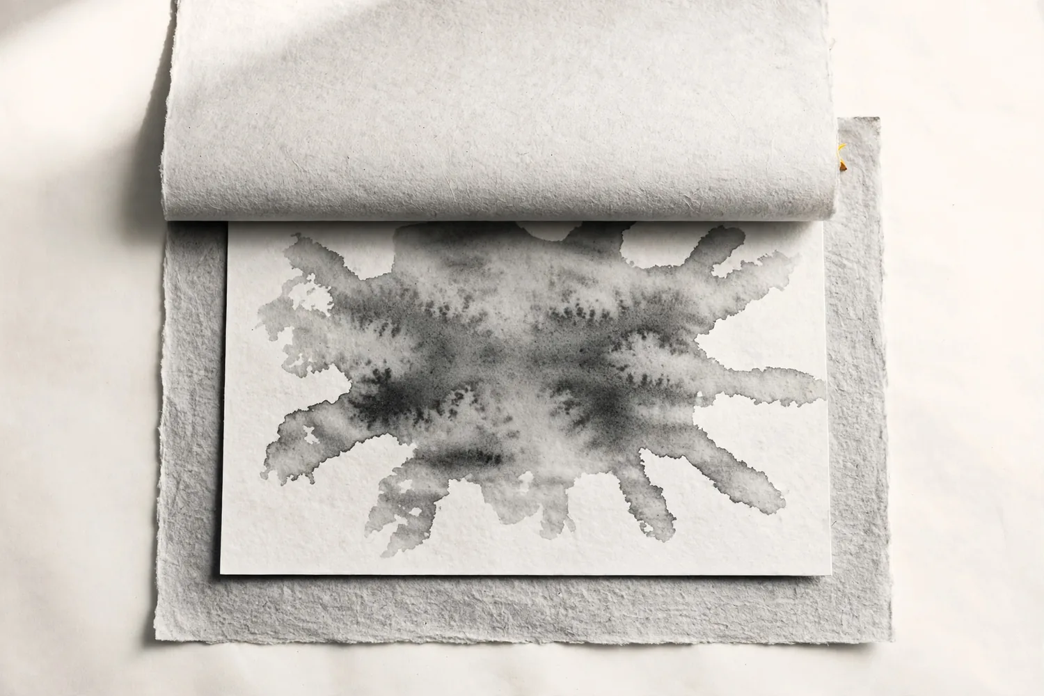 A stained sheet drying between blotters