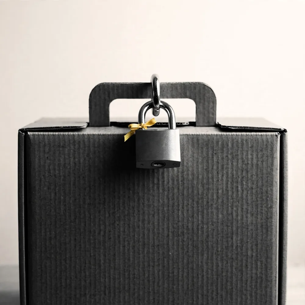 A padlock on an archive box